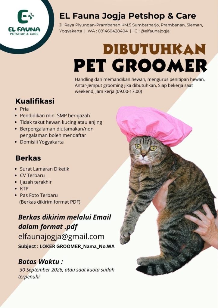 Poster lowongan EL Fauna Jogja Petshop & Care