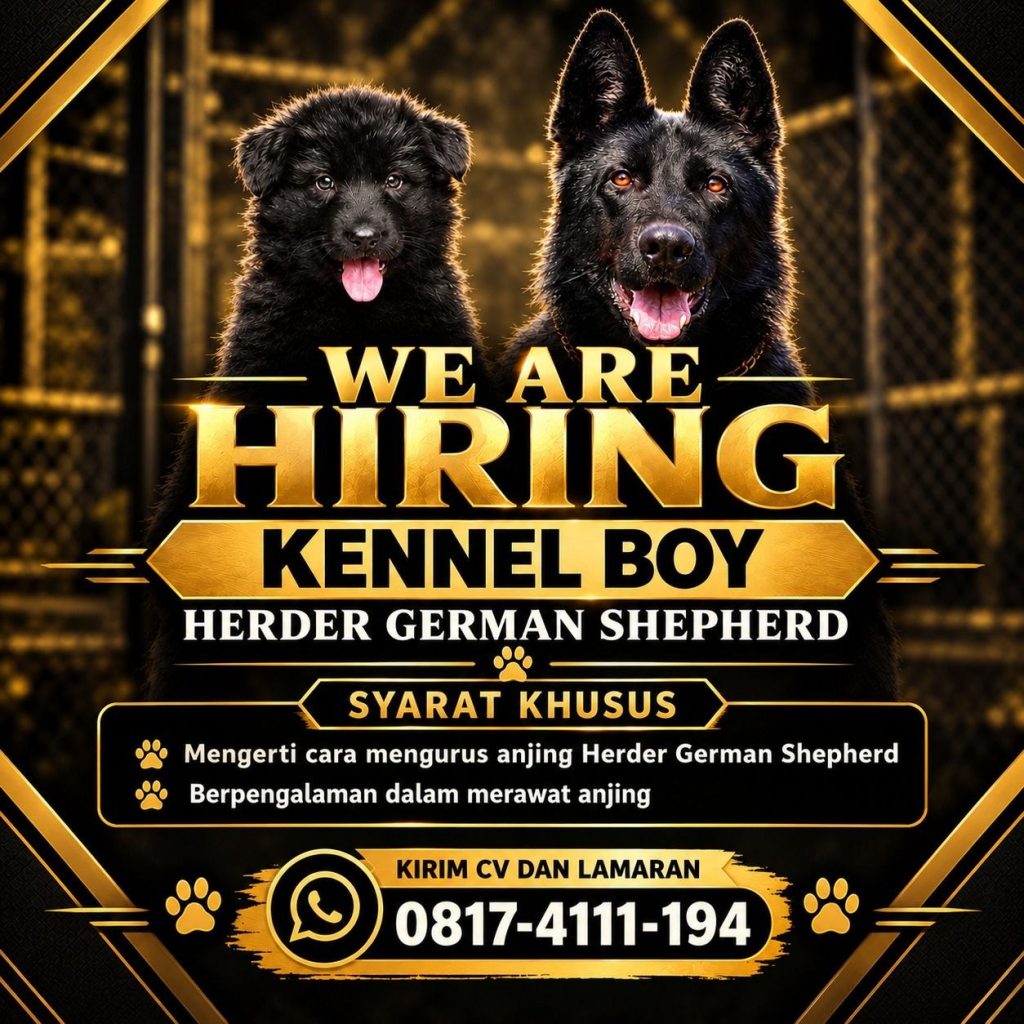 Poster lowongan LOKER JOGJA