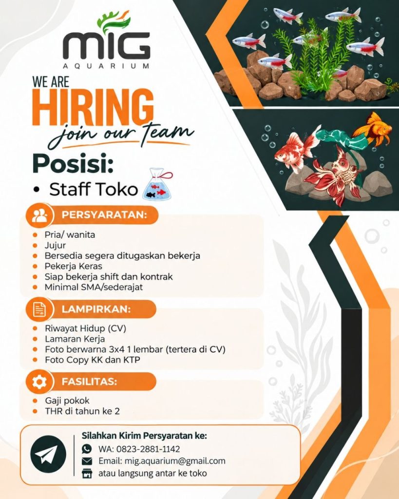 Poster lowongan MIG Aquarium